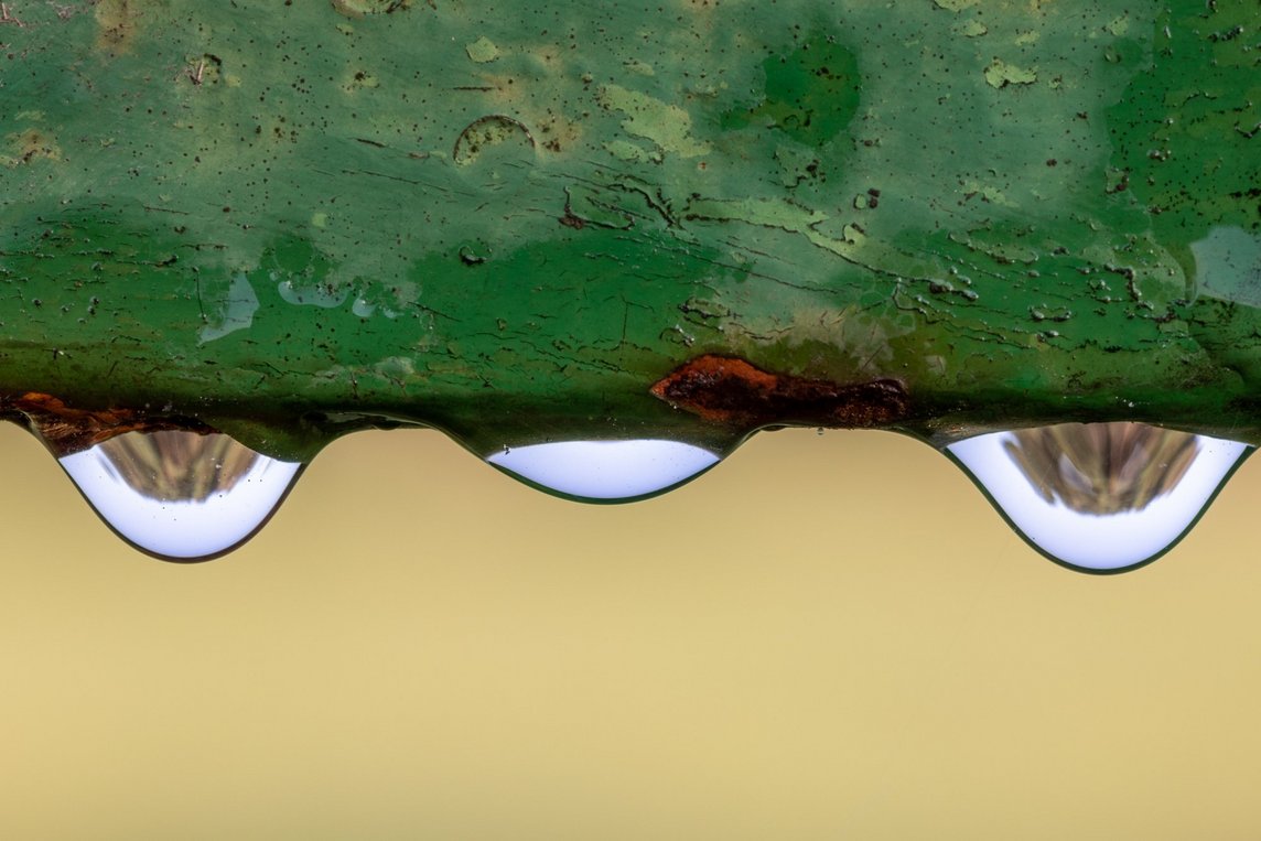 Drei Wassertropfen Makroaufnahme